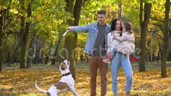 秋天公园里有狗的幸福家庭秋天视频的预览图