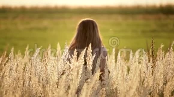 夕阳西下一个长发少女穿着浪漫的夏装在麦穗间漫步在金色的田野片金色的田野视频的预览图