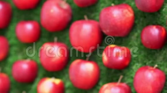 绿色草坪上的红苹果视频的预览图