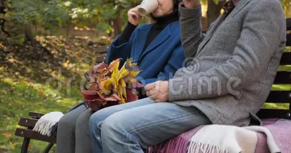 一对老夫妻的茶会带着一束秋叶慢动作家庭户外活动视频的预览图