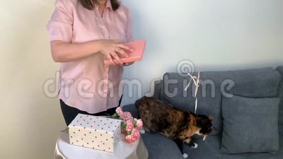 女人打开盒子里的礼物一束粉红色的康乃馨花站在花瓶里一只黑猫坐在灰色的沙发上玩耍视频的预览图