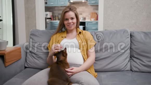 期待30岁的女人坐在安静的平静气氛中宠物和可爱的微笑视频的预览图