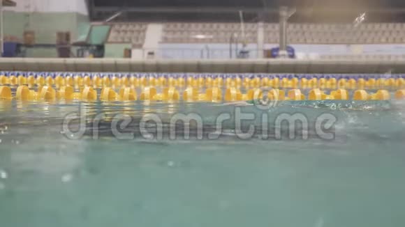 游泳池自由泳专业游泳列车深呼吸视频的预览图