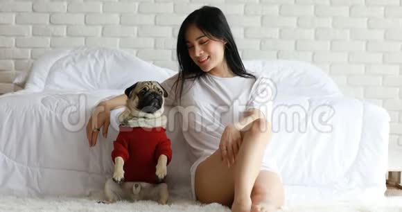 美丽的亚洲年轻女子和她的狗玩耍微笑着和狗哈巴狗品种在卧室里看着有趣和严肃的脸视频的预览图