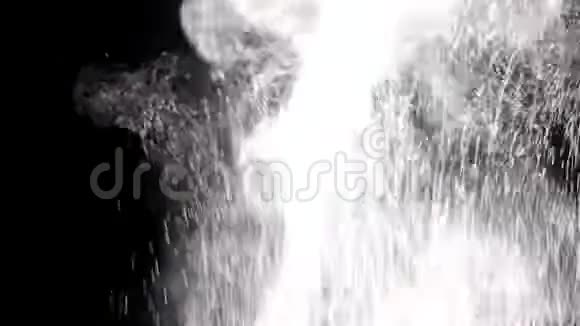 一支飘起雪花的异想天开的舞蹈视频的预览图
