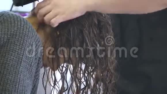 美发师在美容院用专业吹风机吹干漂亮女孩的头发专业美发师使用视频的预览图