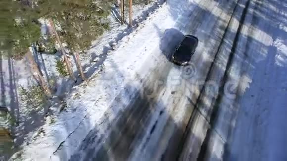 汽车在树林间的一条冬天的路上行驶视频的预览图
