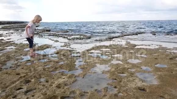 一个孩子在地中海沿岸的水坑里寻找螃蟹或小鱼视频的预览图