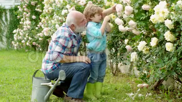 在花园里浇花祖父和她的孙子带着鲜花在花园里享受花园里的小帮手视频的预览图