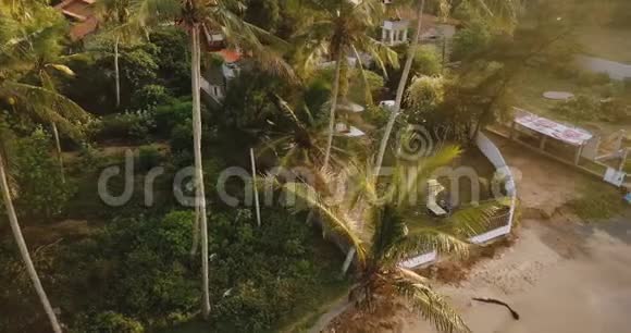 空中无人机拍摄的热带度假别墅中的异国棕榈树男性自由职业者坐在躺椅上视频的预览图