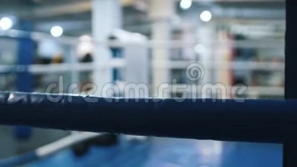 室内拳击场拳击墙视频的预览图