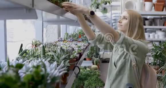 女人从花园商店的货架上挑选盆栽视频的预览图