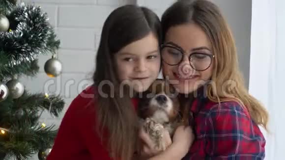 妈妈和女儿在圣诞树旁抱着狗视频的预览图