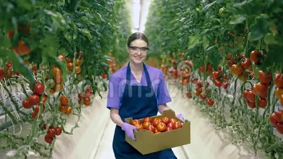 一个女人微笑着拿着一个装满西红柿的篮子视频的预览图