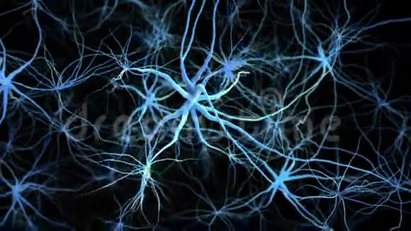具有电脉冲的神经元网络穿越大脑视频的预览图