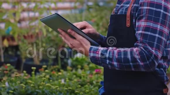 园丁特写镜头在他的电子平板上记下一个装饰植物的状况视频的预览图