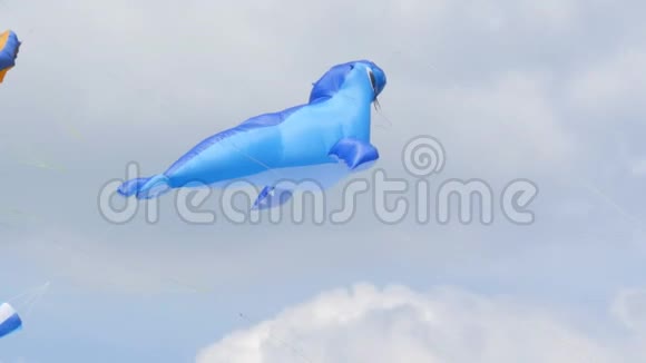 蓝色风筝形状的海港海豹视频的预览图