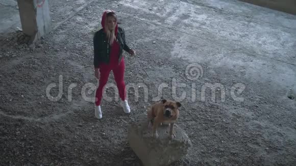 年轻的金发女郎带着一只狗在一座废弃的建筑里培育了美国斯塔福德郡梗那个女孩把狗拴在皮带上视频的预览图