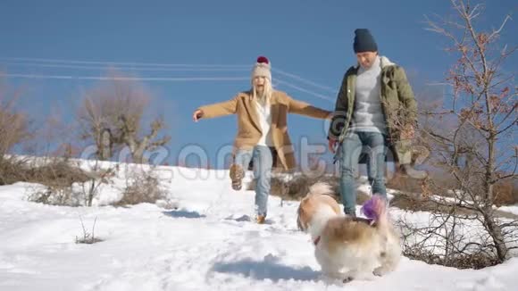 一对年轻漂亮的夫妇在雪山上和一只活跃的小狗玩耍视频的预览图