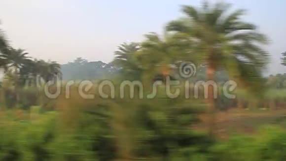 孟加拉国的绿色景观视频的预览图
