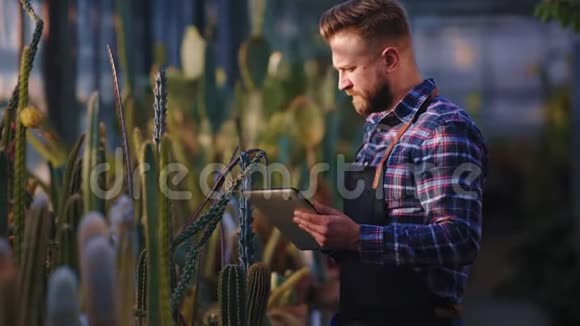 漂亮的园丁在他的平板电脑上做一些笔记检查他自己的农业植物的状况视频的预览图