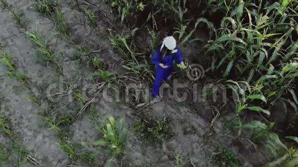穿着工作服的女农学家带着平板电脑在农业耕地上视频的预览图