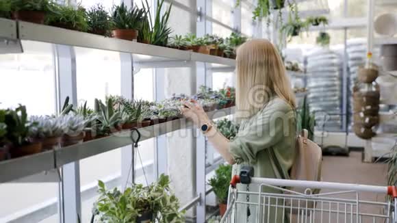 女人从货架上挑选仙人掌植物在花园中心放置购物车视频的预览图