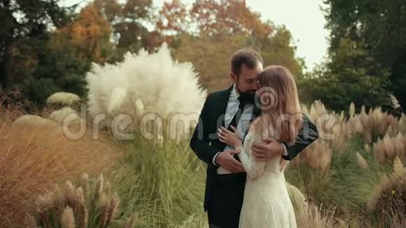 年轻的已婚夫妇留着胡子穿着黑色西装拥抱新娘亲吻新娘视频的预览图