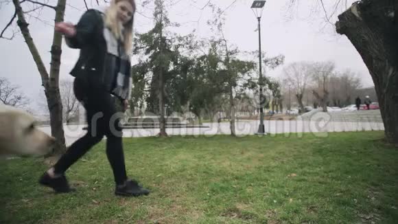 有魅力的女人在城市公园训练她的拉布拉多犬视频的预览图