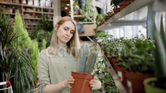 女人选择盆栽仙人掌在家庭植物商店视频的预览图