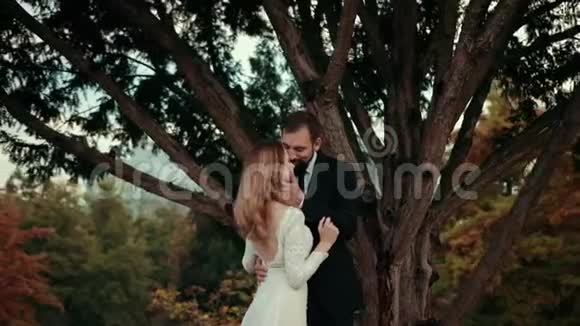 一对相爱的年轻夫妇在一棵大树旁新婚视频的预览图