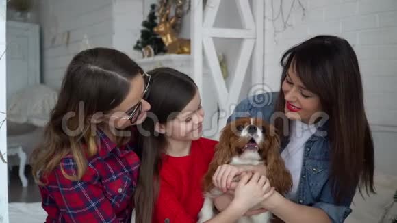 两个女人和抱着狗的小女孩在圣诞树旁视频的预览图