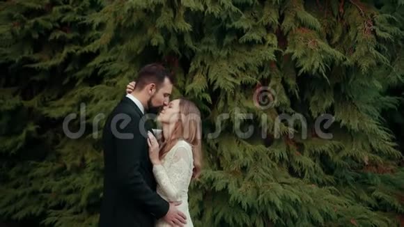 恋爱中的夫妻新郎穿着婚纱拥抱嗅对方亲吻视频的预览图