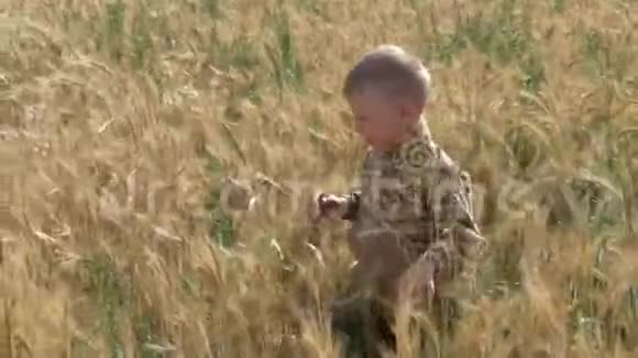 男孩跑在粮田上视频的预览图