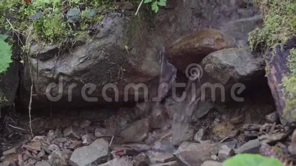 山溪在石头中间视频的预览图