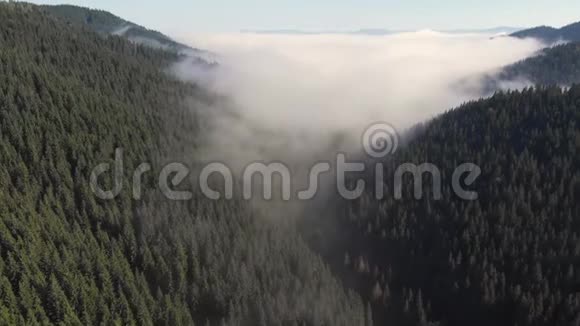 从空中俯瞰雾气视频的预览图
