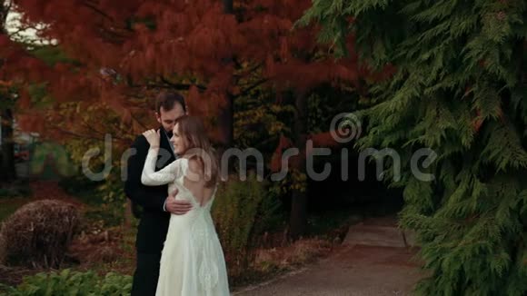 一对新婚夫妇拥抱站在绿红颜色的美丽树木之间视频的预览图