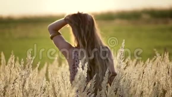 后景一位美女走在金色麦田自由空间心灵安宁的概念视频的预览图