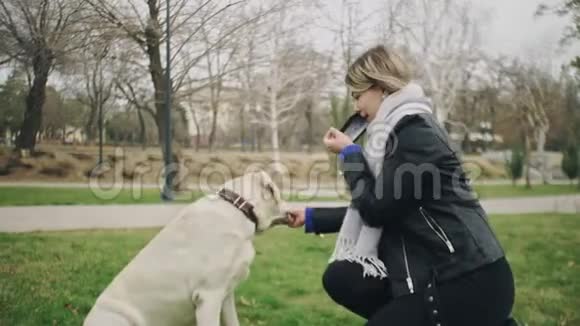在20192020年检疫冠状病毒COVID19大流行期间女人在公园里玩她的拉布拉多狗视频的预览图
