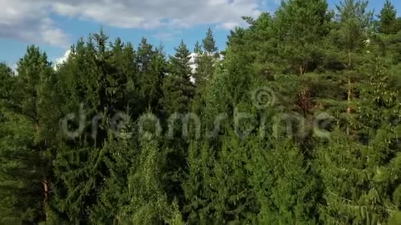 照相机飞过森林视频的预览图