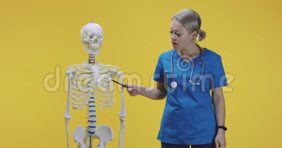 医生用骨架解释解剖视频的预览图