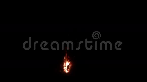 篝火晚会黑暗背景上的巨大火焰冷杉的声音巨大的篝火加速录像视频的预览图