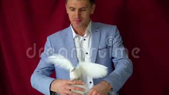 带白色鸽子的男性魔术师视频的预览图