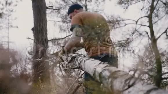 当地的白人年轻人用手锯砍倒的树休闲时间露营野外慢动作视频的预览图