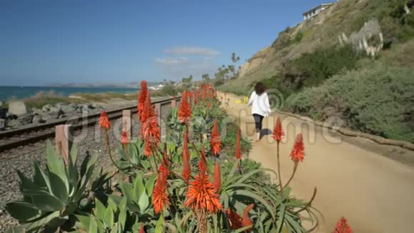 加州圣克莱门特卡拉菲亚海滩夏日的美丽风景橘子郡的生活方式现职视频的预览图