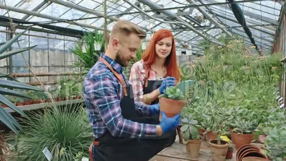 花房里的家庭农业生意两个园丁从花盆里分析植物视频的预览图