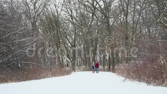 冬天在树林里接吻和散步视频的预览图