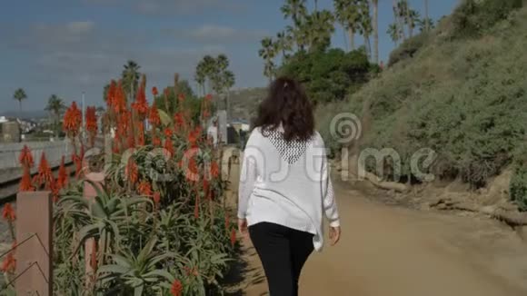 中年妇女在夏天的时候在靠近海洋的人行步道上遇见一个美丽的风景视频的预览图