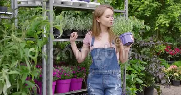 年轻漂亮的花匠女士站着拿着盆花摆姿势视频的预览图