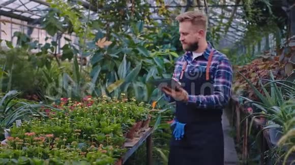 在一个大的工业温室里园丁仔细地照顾植物他用平板电脑做一些笔记视频的预览图